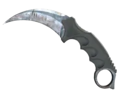 ★ StatTrak™ Karambit | Rust Coat (Well-Worn)