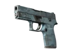 Souvenir P250 | Forest Night (Well-Worn)