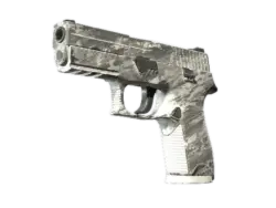 Souvenir P250 | Sleet (Field-Tested)