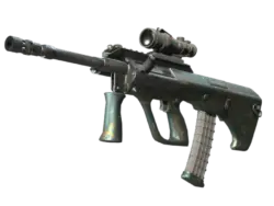 Souvenir AUG | Surveillance (Factory New)