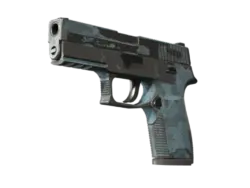 Souvenir P250 | Forest Night (Battle-Scarred)