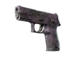 Souvenir P250 | Plum Netting (Field-Tested)