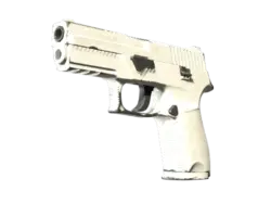 Souvenir P250 | Whiteout (Field-Tested)