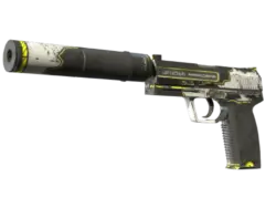 Souvenir USP-S | Torque (Field-Tested)